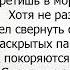 MIA BOYKA Врангель не врал Караоке