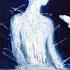 FREE STED D X Pyrokinesis Type Beat Specular