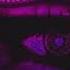 STXRLITE CLOSED SPACE SLOWED
