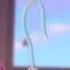 Toy Story 2 1999 End Credits Disney Junior Version 1 29 22