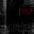 Steve Shaden Trusted Original Mix