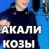 Какали козы