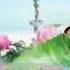 牡丹花 Peony