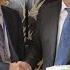 四川省委常委 公安廳廳長葉寒冰 三天前我還見了王健林 杭州拱墅區區委書記 朱建明 王健林沒事 杭州第二個萬達廣場正在謀求土地