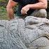 Meet Henry The World S Oldest Crocodile Killer Crocs With Steve Backshall