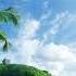 Silent Echo Tropica HandsUp