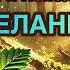 Мантра Позволения и открытия Возможностей 8 Песен на Позитивных Установках