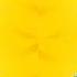 Plim Plim Intro Getting 999999X Speed