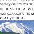 многообразие растений