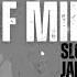 SLOW JAM MIX 2025 PEACE OF MIND VOL 115 DJ Ace