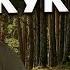 Кавер на песню Кукушка Кукушка разбор на гитаре Аккорды песни кукушка на гитаре Георгий Морев