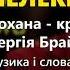 Лелеки Сергій Брайлян