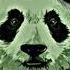 BABILONI პანდა ვარ Panda Var New Version