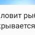 Подлодка с туристами Дантист и акула с брекетами АНЕКДОТЫ Смешные