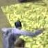 Let S Play Tony Hawk Pro Skater Part 4 A Few Weeks Worth Of Filming
