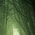 Darkling By Kevin MacLeod Mystery Suspense Atmosphere Music