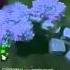 Play HARD DOTA Fucking Bitch Versuta 1 Minute