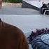 Я помню чудное мгновенье передо мной явилась Ты