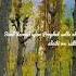 Darood Upon Prophet Muhammad Salle Alaho Alaihi Wasallam Daroodsharif Misharyrashidalafasy Mishary