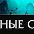Сторонники из Сумрачных островов Интерактивные фразы в LoR