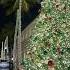 Рождество во Флориде жизньвсша сша америка Christmas Happyholidays рождество