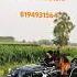 Youtubeshorts Automobile Thar Love Like