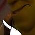 Fiona S At Fault And I Ll Tell You Why Shrek Forever After