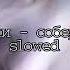 щенки соберись Slowed