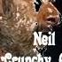 Neil Diamond Crunchy Granola Suite Live In Anwerpen 2017