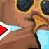 CHANTERELLE MUSHROOMS SUNGLASSES BETTER HEALTH BARS XREALM