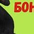 Диафильм Каникулы Бонифация Часть 1