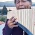 LA PALOMA Panflute Zampoña Quenacho Quena Nativeflutes Livemusic