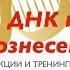 ДНК и Вознесение