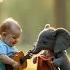 Cute Babies And Cute Animals Dancing Own Music