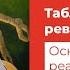 Таблетки от ревности Отношения со знаком минус