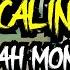 Calin Hannah Montana SPED UP REMIX