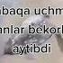 Toshbaqa Uchmaydi Deganlar Gõrsin