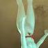Anyma Delhia De France Walking With A Ghost With AFTERLIFE Hanged Man Vision Visualizer