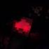 Bound By Darkness Withered Symbiont Theme