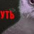 Сибирская Жуть Сборник 13