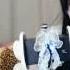 ASMR猫仙儿 新浪微博朴美桃