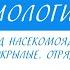 7 класс Биология Отряд насекомоядные Отряд шерстокрылые Отряд рукокрылые