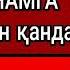 БУГУНГИ ФОЙДА ПАШША САБАБ ЖАХАННАМГА ТУШКАН ОДАМ АБДУЛЛОХ ЗУФАР