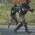 ArmA 3 Zombies Demons Undead Sweep