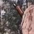 Витя Глушаков друг апачей 1983