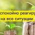 Утренние аффирмации аффирмации аффирмациинакаждыйдень