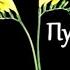 Алла Пугачёва Жаль Alla Pugacheva