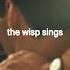 The Wisp Sings Paddy X Eoin