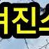 254 원곡ㆍ최유나 ㅡ 숨겨진 소설 노래ㆍ환경사랑