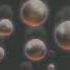 Mindscape Circle Reflections